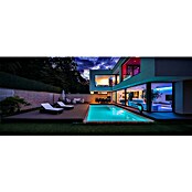 Ledvance LED-Band Outdoor Neon Flex Digital (Länge: 3 m, Lichtfarbe: RGBW, 15 W, 120 lm) | BAUHAUS