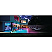 Ledvance LED-Band Outdoor Neon Flex Digital (Länge: 3 m, Lichtfarbe: RGBW, 15 W, 120 lm) | BAUHAUS