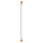 Osram Led-tl-balk voor vochtige ruimtes (1 lampen, 18 W, l x h: 124,5 x 3,5 cm, Lichtkleur: Neutraal wit, IP65)