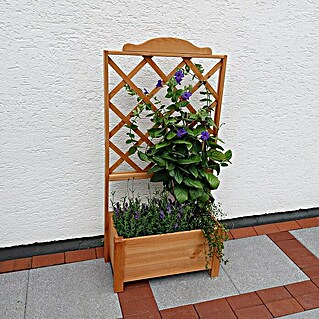 Promadino Pflanzkasten Botanica (Außenmaß (L x B x H): 69 x 32 x 139 cm, Holz, Honigbraun)