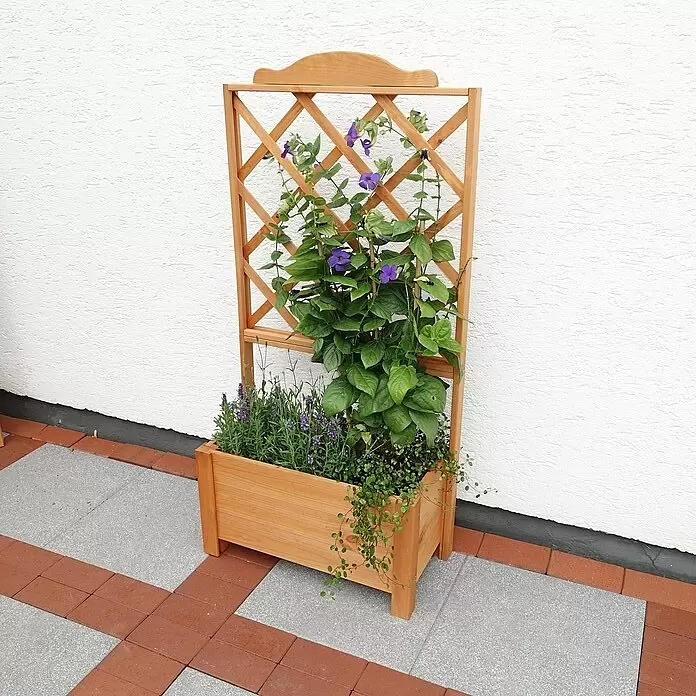 Promadino Pflanzkasten Botanica - Außenmaß (L x B x H): 69 x 32 x 139 cm, Holz, Honigbraun - Eine hellbraune Holzpflanzkiste mit integriertem Rankgitter, gefüllt mit Lavendel und lila blühenden Rankpflanzen, auf einer Terrasse.