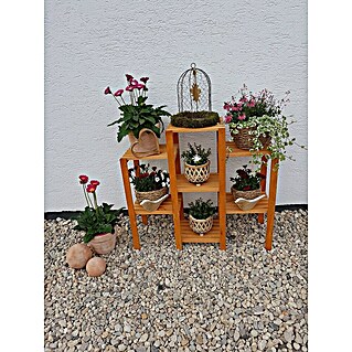 Promadino Blumentreppe (32 x 98 x 88 cm, Kiefer, Honigbraun)