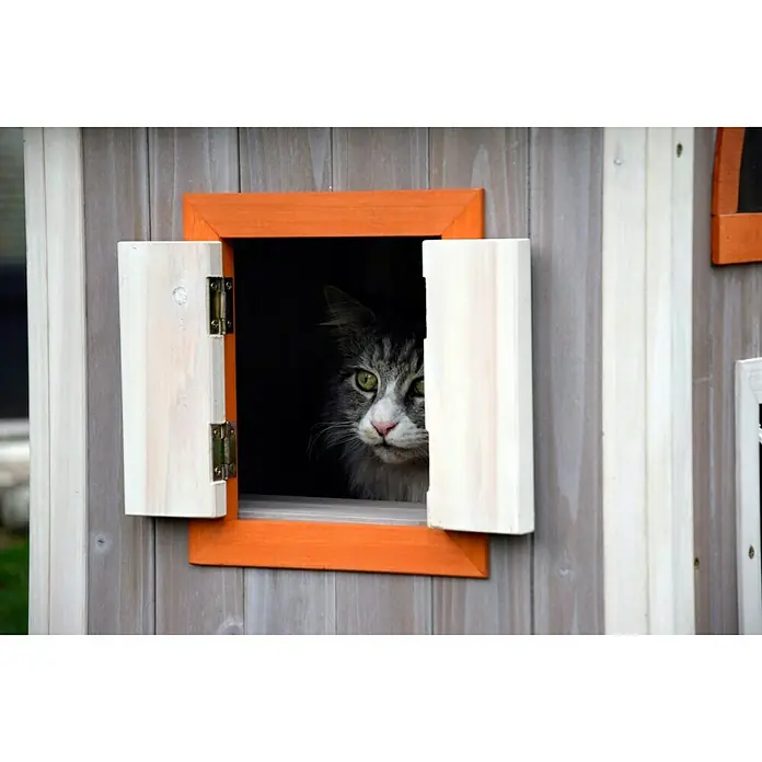 Dobar Katzenhaus Fancy Cat - 58 x 55 x 109 cm - Nahaufnahme einer verspielten Katze, die aus einem Fenster eines bunten Holzspielhauses späht und einen skurrilen Charme versprüht.