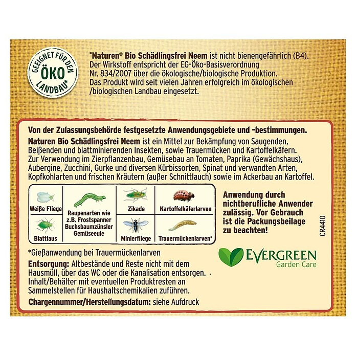 kidney bohnen saatgut Bio Kidneybohnen | rot