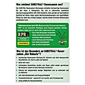 Substral Rasensamen Robust (1 kg)