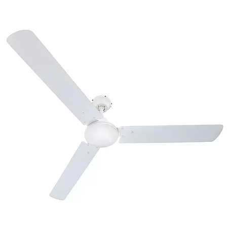 Globo  Ventilador de techo Ferro