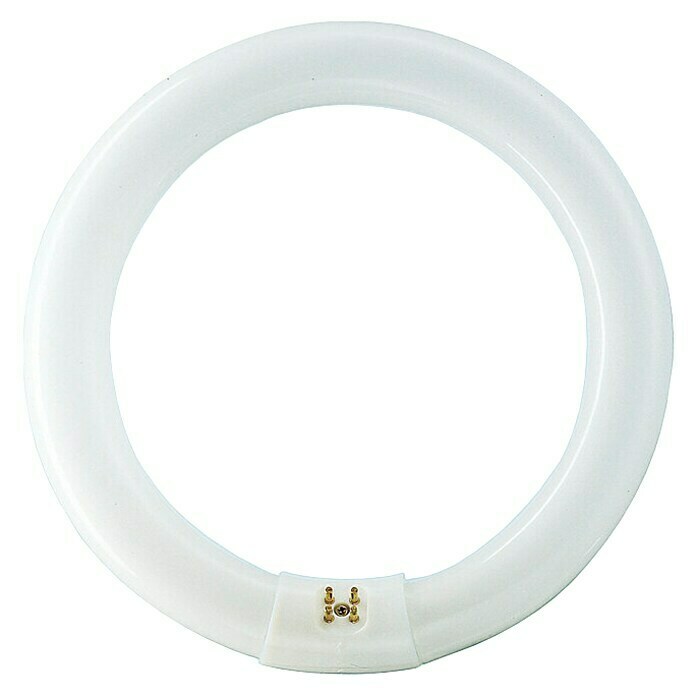 Philips Tubo de LED TL-E circular (22 W, Color de luz: Blanco frío, G10q, Largo: 3,09 cm)