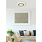 Globo Plafón LED redondo (21 W, Opal, Ø x Al: 30 x 5,5 cm)