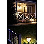 Philips Hue Led-wandlamp voor buiten (1 lampen, 15 W, Lichtkleur: Bont, IP44)
