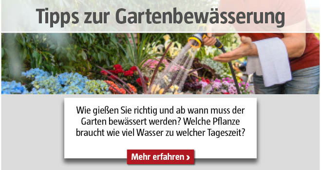 Tipps zur Gartenbewässerung