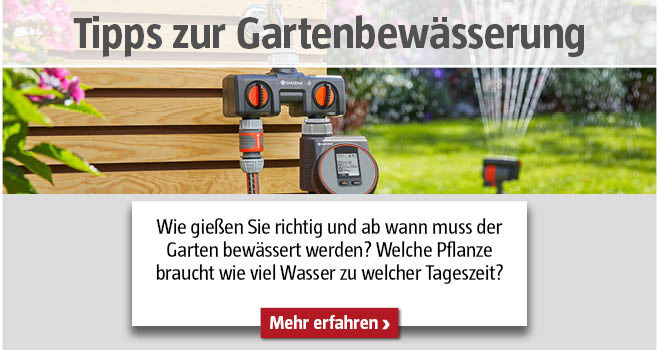 Tipps zur Gartenbewässerung