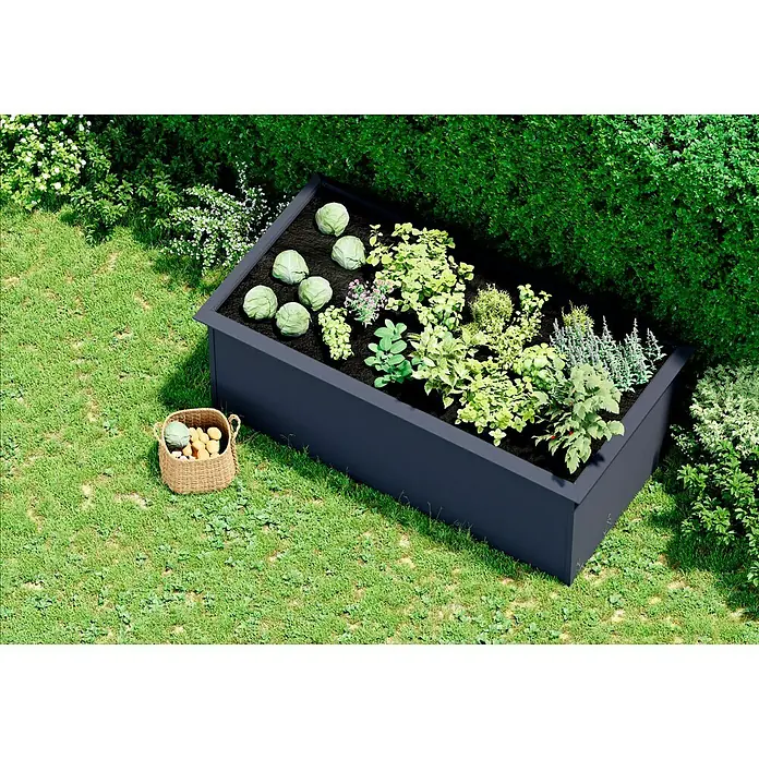 Gardol Hochbeet doppelwandig - 200 x 100 x 76 cm, Stahl, Anthrazit - Ein Hochbeet mit verschiedenen Gemüsesorten und Kräutern, darunter Kohlköpfe. Ein Korb mit Ernte steht daneben.