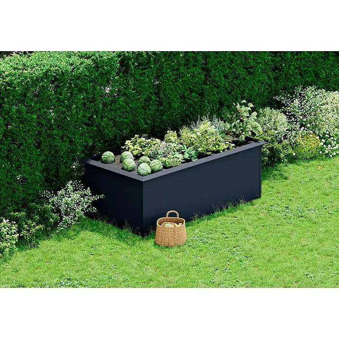 Gardol Huerto urbano - 200 x 100 x 76 cm, Acero, Antracita - Una jardinera elevada oscura con lechugas y otras plantas en un jardín con césped y arbustos, junto a una cesta.
