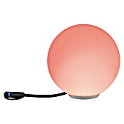 Paulmann Plug & Shine Lámpara LED decorativa (2,8 W, Blanco)