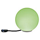 Paulmann Plug & Shine Lámpara LED decorativa (2,8 W, Blanco)