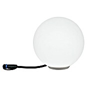 Paulmann Plug & Shine Lámpara LED decorativa (2,8 W, Blanco)