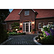 Paulmann Plug & Shine Aplique para exterior LED (1 luz, 10 W, Blanco cálido, IP44)