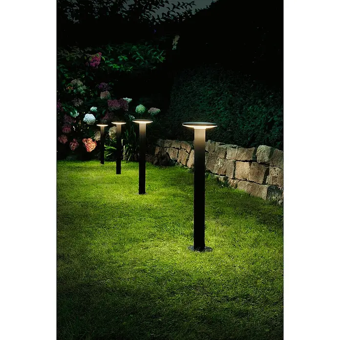 Paulmann Plug & Shine LED-Außenleuchte Plate - 6 W, Warmweiß, IP44, Farbtemperatur: 3.000 K - Elegante Außenleuchten säumen einen Gartenweg und bieten eine stimmungsvolle Beleuchtung in der Dämmerung.