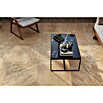 Atlas Concorde Solution Regent Terrassenfliese Gold (60 x 60 x 2 cm, Gold, Matt) | BAUHAUS