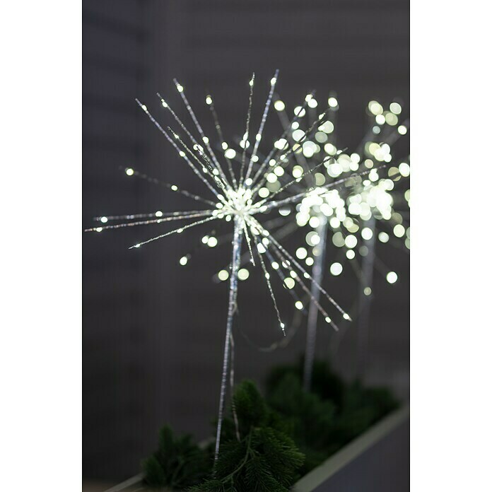 Markslöjd LED-Gartenstecker (Netzbetrieben, Warmweiß, Höhe: 50 cm, Kunststoff) | BAUHAUS