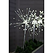 Markslöjd LED-Gartenstecker (Netzbetrieben, Warmweiß, Höhe: 50 cm, Kunststoff) | BAUHAUS