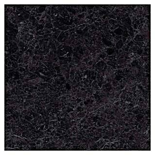 Keramische tegel Marble Mix (l x b: 60 x 60 cm, Mat, Zwart)