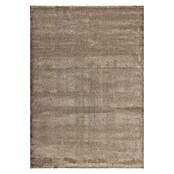 Kurzflorteppich Softtouch (Beige, 290 x 200 cm, 100 % Polypropylen (Flor)) | BAUHAUS