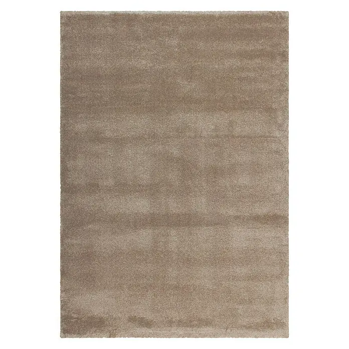 Kurzflorteppich Softtouch - Beige, 230 x 160 cm, 100 % Polypropylen (Flor) - Ein weicher, beigefarbener Teppich, der Wärme und Komfort in jeden Raum bringt. Perfekt, um Ihrem Zuhause eine gemütliche Note zu verleihen.