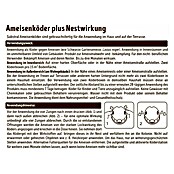 Substral Ameisenköder (2 Stk.) | BAUHAUS