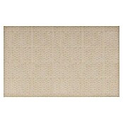 Verblendstein Niagara Bone (60 x 20 cm, Beige, Steinoptik) | BAUHAUS