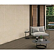 Verblendstein Niagara Bone (60 x 20 cm, Beige, Steinoptik) | BAUHAUS