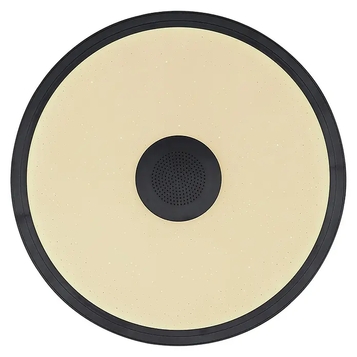 Globo Plafón LED redondo Raffy - 18 W, Ø x Al: 28 x 5,5 cm, Negro, RGBW - Lámpara de techo con marco negro y altavoz integrado.