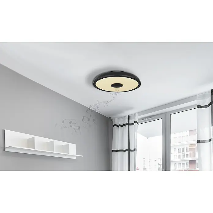 Globo Plafón LED redondo Raffy - 18 W, Ø x Al: 28 x 5,5 cm, Negro, RGBW - Lámpara de techo moderna con altavoz integrado. La lámpara tiene un borde negro y emite notas musicales.