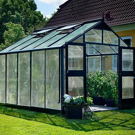 Juliana  Gewächshaus Premium