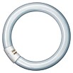 Osram Leuchtstoffröhre (T9, Kaltweiß, 40 W, Länge: 40 cm, Energieeffizienzklasse: A)
