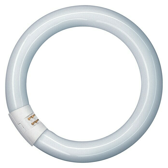 Osram Tubo fluorescente (T9, Blanco frío, 40 W, Largo: 40 cm, Clase de eficiencia energética: A)