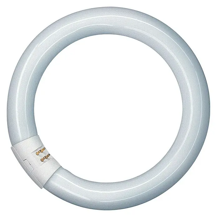 Osram Leuchtstoffröhre - Länge: 40 cm, Kaltweiß, 40 W, 2.900 lm, G10q - Nahaufnahme einer kreisförmigen Leuchtstofflampe mit Anschlussstiften, die auf einem sauberen, weißen Hintergrund isoliert ist.