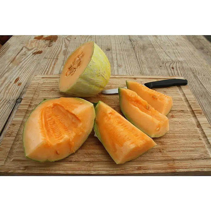 Blu Bio Mangomelone - Cucumis melo, Topfgröße: 12 cm - Auf einem Schneidebrett liegt eine aufgeschnittene Cantaloupe-Melone, das fruchtige Aroma kommt durch die orangene Farbe gut zur Geltung.