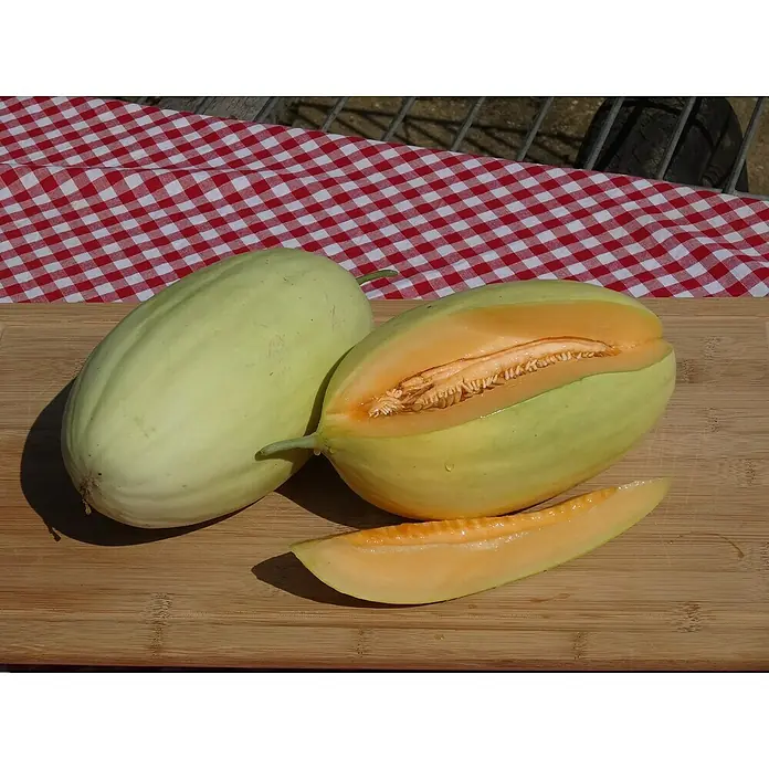 Blu Bio Mangomelone - Cucumis melo, Topfgröße: 12 cm - Zwei Melonen, eine angeschnitten, auf einem Holzbrett vor rot-weiß kariertem Hintergrund. Erfrischend und lecker!