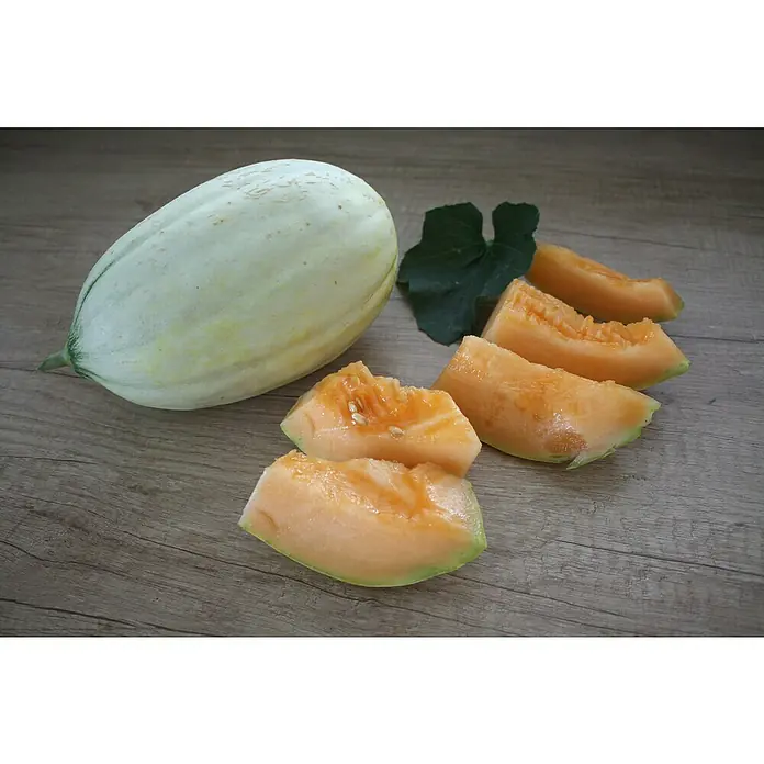 Blu Bio Mangomelone - Cucumis melo, Topfgröße: 12 cm - Süße Galia-Melone, ganz und in Scheiben geschnitten, präsentiert auf einer Holzoberfläche. Ideal für gesunde Snacks und erfrischende Desserts.