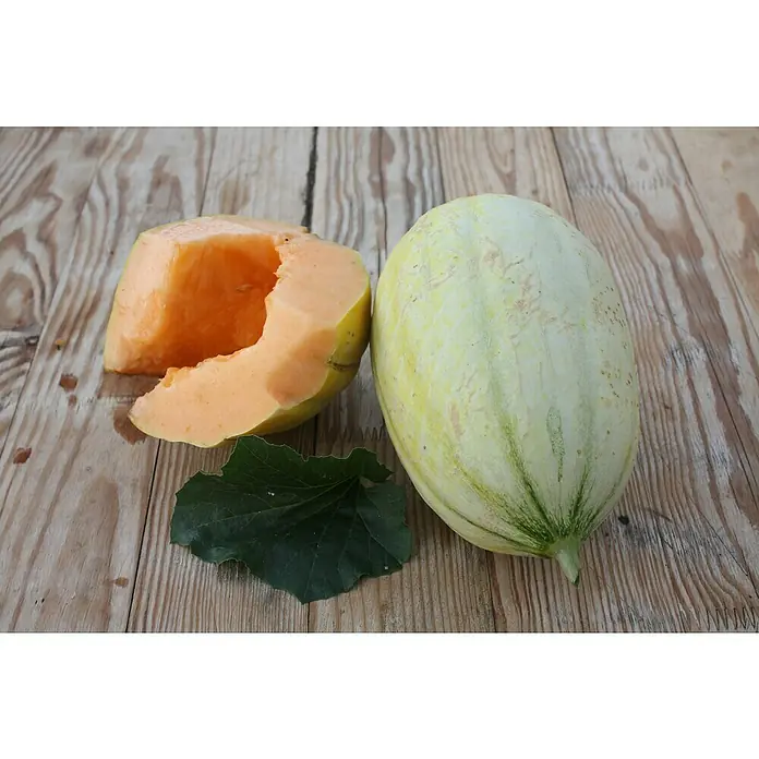 Blu Bio Mangomelone - Cucumis melo, Topfgröße: 12 cm - Ein aufgeschnittener Galia-Melone mit einer Blattdekoration auf einem rustikalen Holztisch.