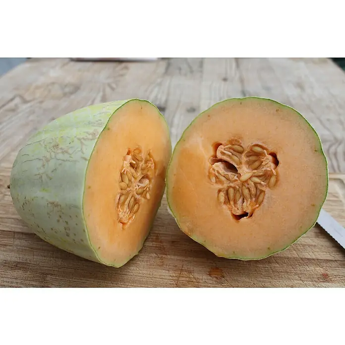 Blu Bio Mangomelone - Cucumis melo, Topfgröße: 12 cm - Halbiert und aufgeschnitten präsentiert sich eine Honigmelone mit orangefarbenem Fruchtfleisch und Kernen auf einem Holzbrett.