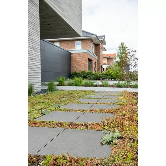 Diephaus Gehwegplatte - 30 x 30 x 4 cm, Grau, Beton - Graue Betonplatten bilden einen modernen Weg durch eine üppige grüne und rötliche Bodendecke in einer zeitgenössischen Gartenanlage.