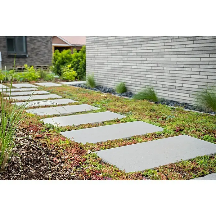 Diephaus Gehwegplatte - 40 x 60 x 4 cm, Grau, Beton - Eine Gartenanlage mit hellgrauen Trittplatten inmitten von grünem und rötlichem Bodendecker, neben einem modernen Gebäude.