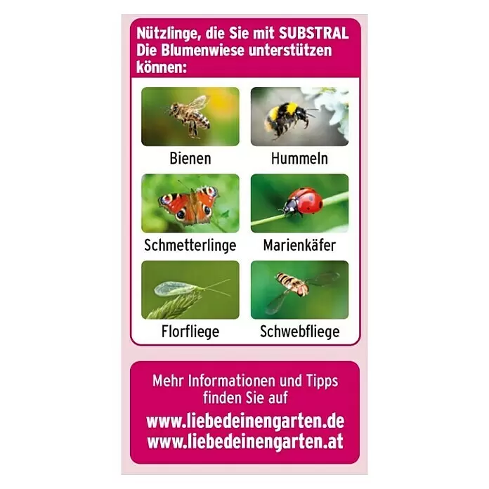 Substral Blumensamen Die Blumenwiese - 30 m² - Informationsgrafik mit sechs Nützlingen (Bienen, Hummeln, Schmetterlinge, Marienkäfer, Florfliegen, Schwebfliegen), die SUBSTRAL in Blumenwiesen unterstützt, und Websites.