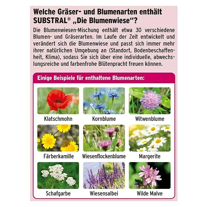 Substral Blumensamen Die Blumenwiese - 30 m² - Informationsgrafik zur SUBSTRAL 'Blumenwiese' Samenmischung, zeigt Text und neun Blumenbeispiele.