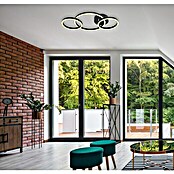 Globo LED-Deckenleuchte REGGY (24 W, L x B x H: 54,5 x 30 x 7,5 cm, Schwarz, Warmweiß, 1 Stk.) | BAUHAUS