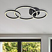 Globo LED-Deckenleuchte REGGY (24 W, L x B x H: 54,5 x 30 x 7,5 cm, Schwarz, Warmweiß, 1 Stk.) | BAUHAUS