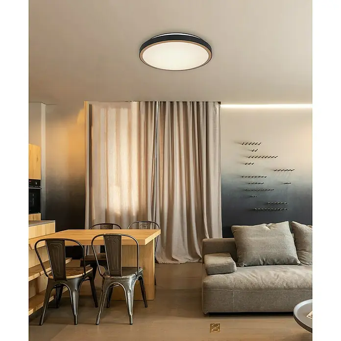 Globo Plafón LED redondo - 24 W, Ø x Al: 420 mm x 9,5 cm, Negro, Blanco cálido - Lámpara de techo moderna con diseño redondo en una sala de estar elegante, creando un ambiente acogedor.\n