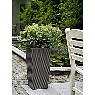 Lechuza Cottage Visoka četvrtasta posuda za biljke Cubico (Vanjska dimenzija (D x Š x V): 30 x 30 x 56,5 cm, Plastika, Granit)